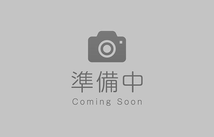 術中の眼内レンズと乱視の診断ツール