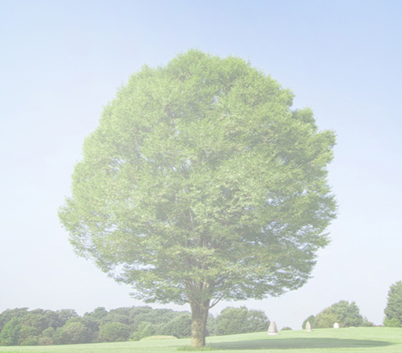 白内障